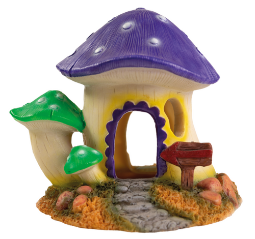 Superfish Mushroom house m