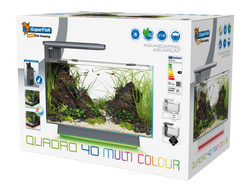 Superfish quadro 40 multi colour w