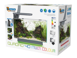 Superfish quadro 40 multi colour zw