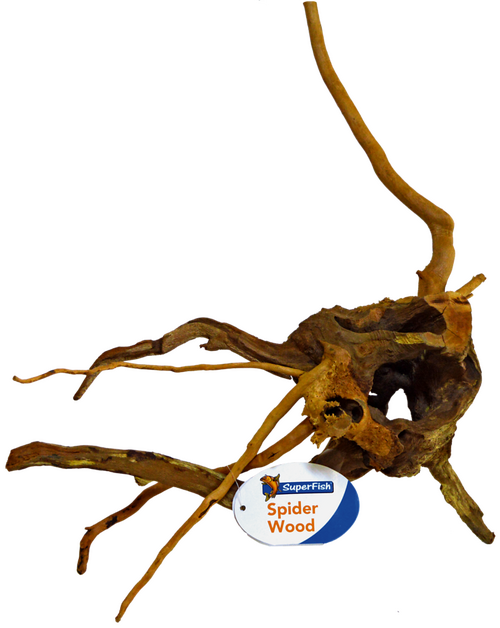Spiderwood Small 20-30Cm
