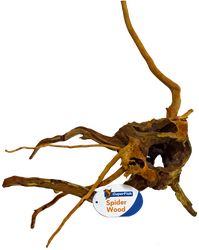 Spiderwood Small 20-30Cm