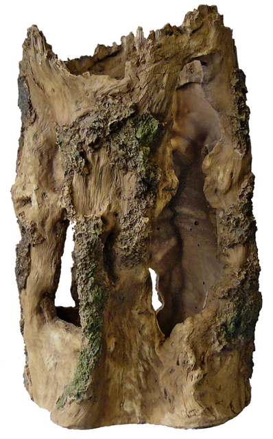 Superfish Tree home l l24b22h37cm