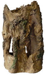 Superfish Tree home l l24b22h37cm