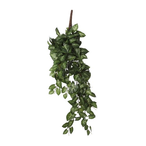 Mica Syngonium hangend groen
