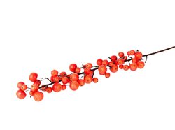 Tak appel sentinel l135cm rood