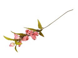 Tak bellflower l105cm roze