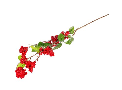 Tak berry dulcis l88cm rood