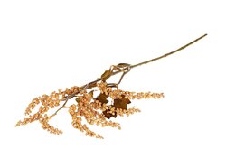 Tak berry jungle l72cm d bruin