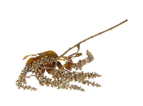 Tak berry jungle l72cm d groen