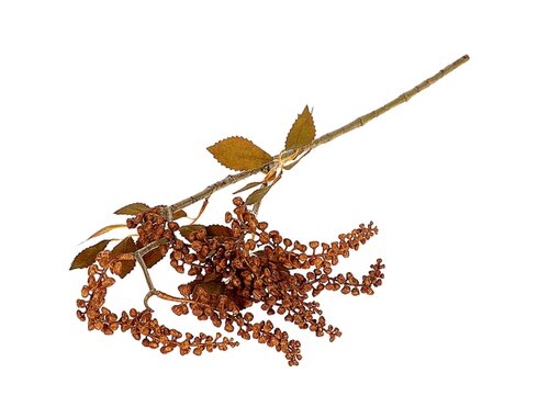 Tak berry jungle l72cm groen