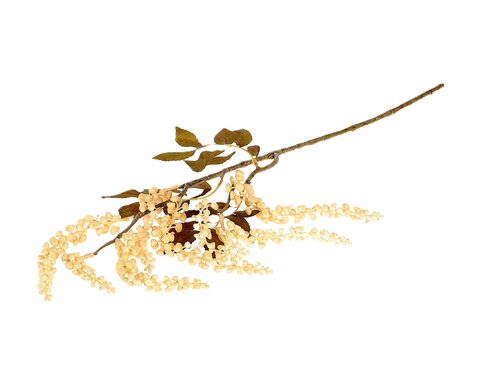 Tak berry jungle l72cm wit