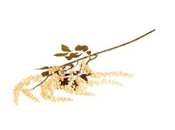 Tak berry jungle l72cm wit