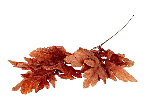 Tak blad quercus l105cm bruin