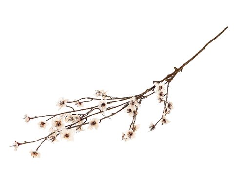 Tak blossom almonde l111cm wit