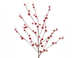 Decoris Spray foam berries
