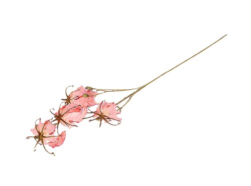 Tak gloriosa l87cm roze