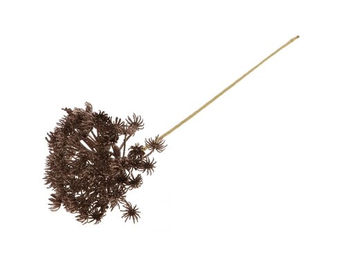 Tak heracleum glitter l60cm brn