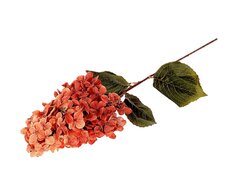 Tak hydrangea culata l82cm oranje