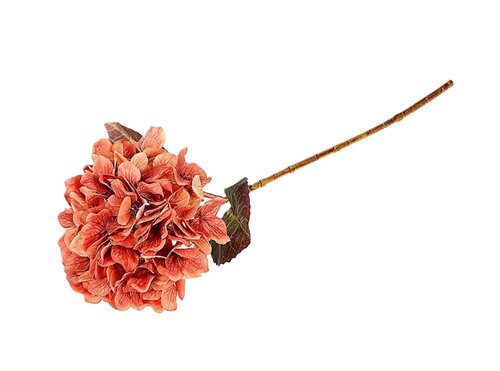 Tak hydrangea l65cm oranje