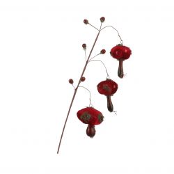 Tak paddestoel rood