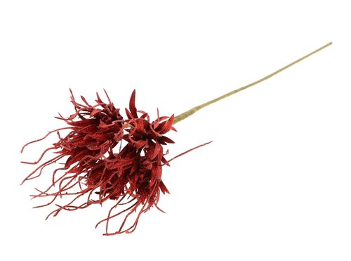 Tak spider carnation l55cm rood