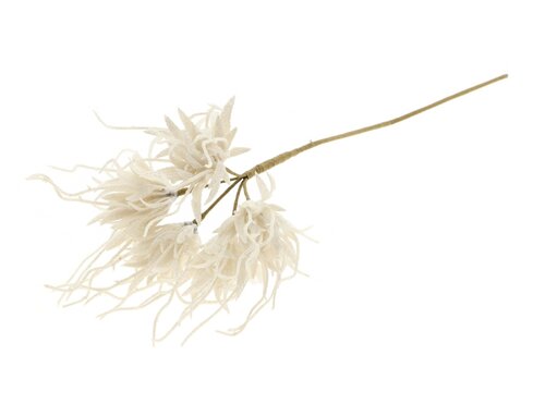 Tak spider carnation l55cm wit