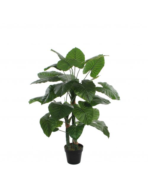 Taro in plastic pot groen - h120xd60cm