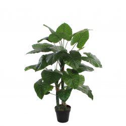 Taro in plastic pot groen - h120xd60cm