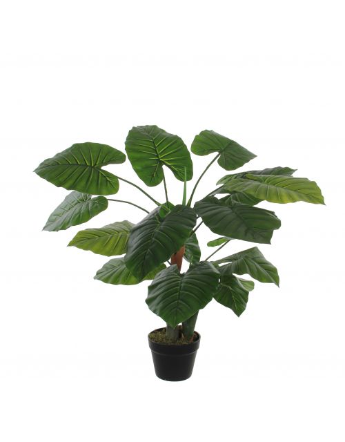 Taro in plastic pot groen - h90xd60cm