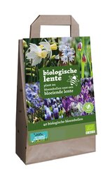 Tas bollen biologische lente 40st - afbeelding 1
