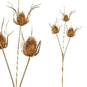 PTMD Thistle Plant gold thistle 3 pick
