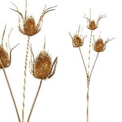 PTMD Thistle Plant gold thistle 3 pick