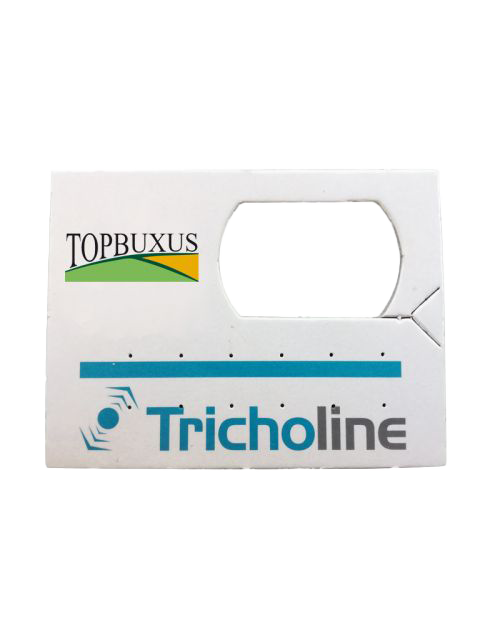 Topbuxus Trichogramma Buxusmot