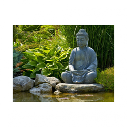 Tp Xl Buddha Met Hosta 163X117Cm