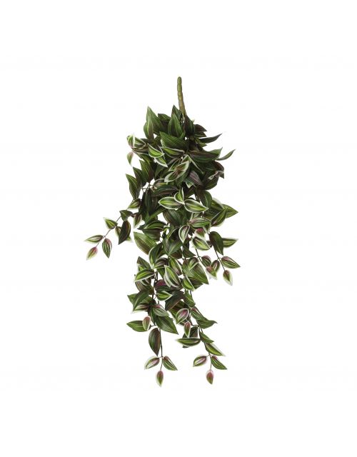 Tradescantia hangend groen - l54xb20xh15cm