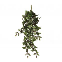 Tradescantia hangend groen - l54xb20xh15cm