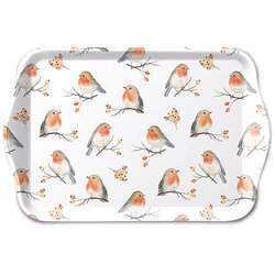 Tray melamine 13x21 cm Robin family