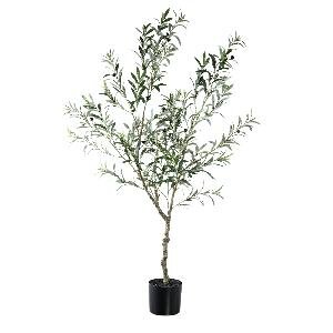 PTMD Tree Green olive tree in pot L