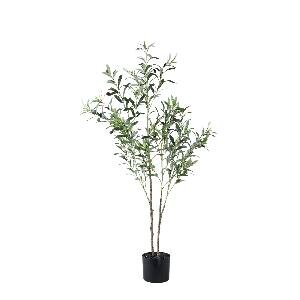 PTMD Tree Green olive tree in pot S