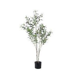 PTMD Tree Green olive tree in pot S