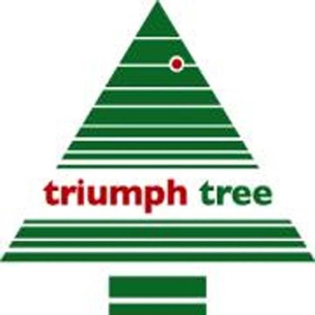 Triumph Kerstboom Matterhorn 2025 Lia Deerdre