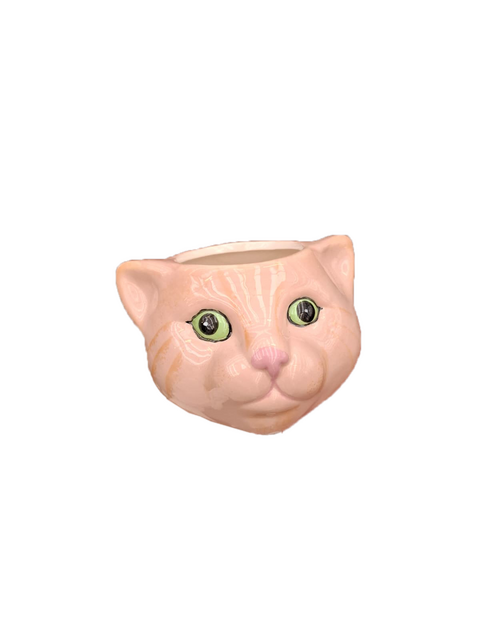 TS Pot friend cat l12b11h8cm