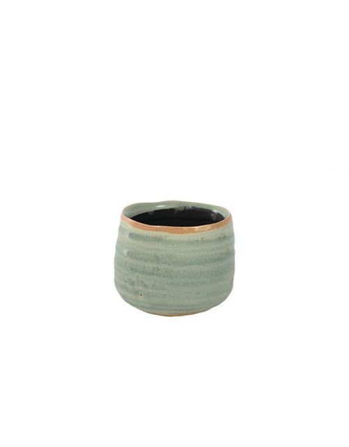 TS Pot Iris mint D8 H7