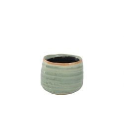 TS Pot Iris mint D8 H7