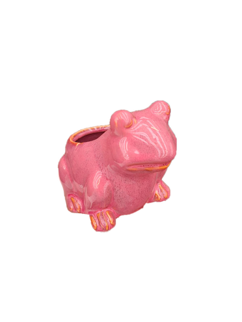 TS Pot kikker 15x10x11cm cherry