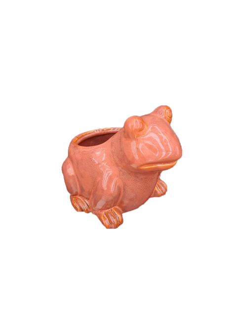 TS Pot kikker 15x10x11cm laca