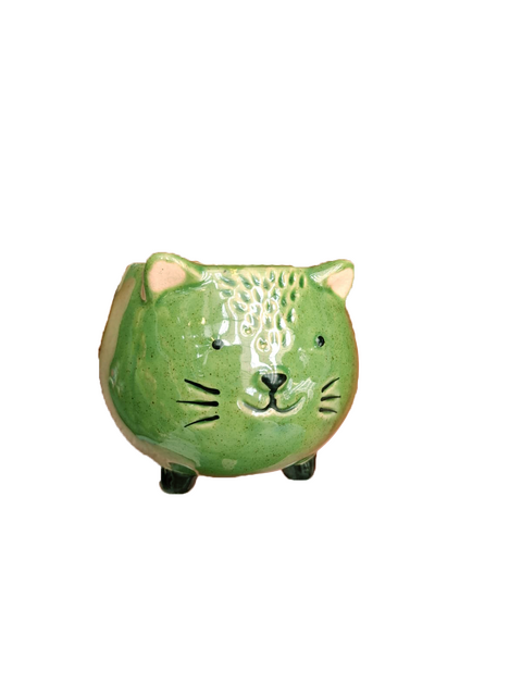 TS Pot meow d9h8cm groen