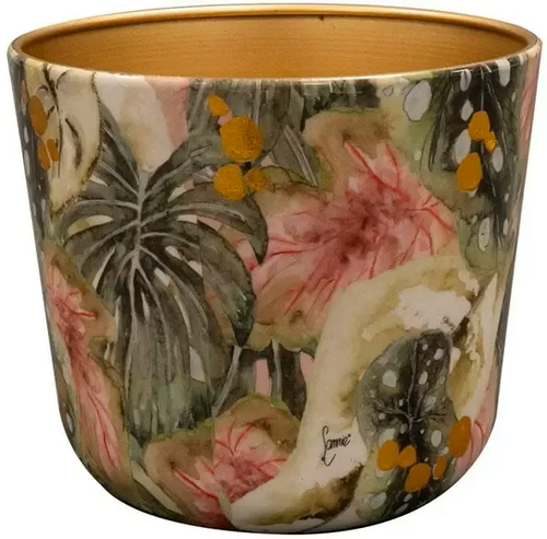 TS Pot monstera d16h14cm mystery