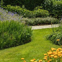 Ecostyle Tuinmest 2 kg - afbeelding 3