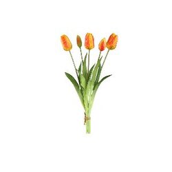 PTMD Tulip Flower Orange bush with leaves long 5pcs